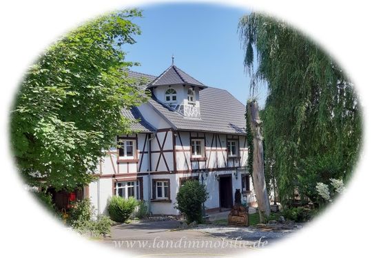 Absolute Alleinlage, ohne Denkmalschutz, mit Gewerbe! Ehemalige Mühle
